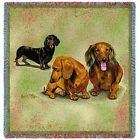 1127-ls Beige Country Pups Pure 54. Canine Pet Blanket Dachshund Background