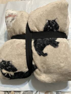 Berkshire 198062002206 Luster Soft Plush Throw Kittens 50 Inch X 70