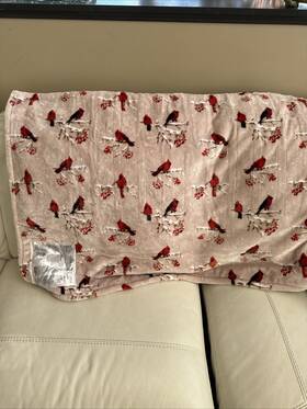 Berkshire 791551324379 Printed Velvetloft Sherpa Heated Throw Cardinals Lnc