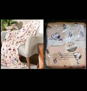 Berkshire 791551541752 Peanuts Snoopy Junk Food Snacks Sweets Throw Blanket New