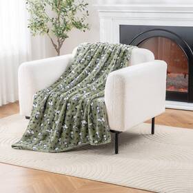 19371-t9-abg Berkshire Blanket Peanuts Velvetloft Cute Character Snoopy Plush Throw Blanke