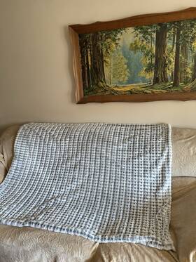 Better Homes & Gardens 190714571702 Home And Plush Faux Fur Baby Blanket Gray White Marbled Cozy Throw 50 Inch X60