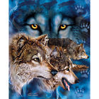 Blanket Hidden Wolves Queen Them Find Plush Fleece 12 Raschel D