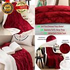 Blanket-sherpa5544 Blanket Sherpa Micro Plush Sheets Biddeford Living Room 603305467884