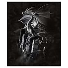 Blnkt-dragon04290-fba Silver Dragon Mink Plush Blanket Queen Size Signature 696570701043