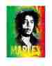 Bobbl2864jfc Musical Artist Bob Marley 45 X 60 Fleece Throw Blanket With Black Sherpa Lining Pot Leaf Reggie 841092194433