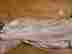 Bsv9mqs-r772-12a00 Sunbeam Velvet Plush Heated Blanket Choicetouch Controller Used