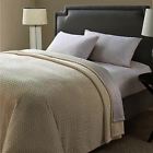 Charisma Classics Knitted Chevron Twin Blanket Beige New 610792045921