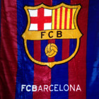 Comin16ju029650 Fcb Barcelona Luxury Plush 753807474566