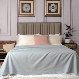 Cuddle Dreams 667797588960 Silk Fleece Blanket For Bed Soft Breathable And Skin-friendly Ice Blue King