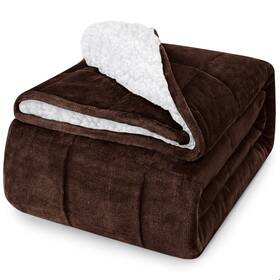Cymula 732262974910 Sherpa Weighted Blanket Queen Size - 60 Inch X80 20lbs Soft Plush Flannel Fleece