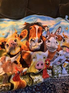Dawhud Direct 647603906492 Cartoon Selfie Farm Animals Fleece Blanket For Bed 50 Inch X 60