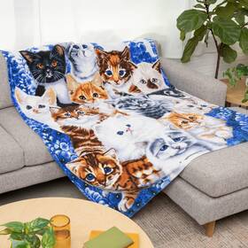 Dawhud Direct 647603909387 Collage Kitten Fleece Blanket For Bed 50x60 Inches Throw