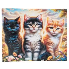Dawh-001744-fba Dawhud Direct Best Throw Blanket Soft And Warm Kitten Ideal Cat Themed For Lovers Cozy Fleece