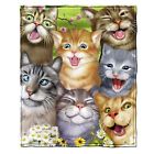 Dh-821 Dawhud Direct Cats Selfie Fleece Throw Blanket 647603888125