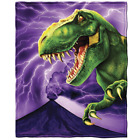 Dh-825 Dawhud Direct Purple Dinosaur Blanket Throw Kids Gift 647603885216