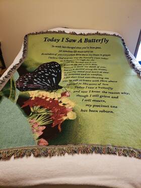 Fab-3112 Dicksons Today I Saw A Butterfly Green 68 X 52 Inch Tapestry Throw Blanket