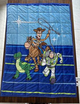 Disney 032281225094 Toy Story 4 Kids Weighted Blanket 4.5 Lbs 36 In X 48in Soft Woody Buzz