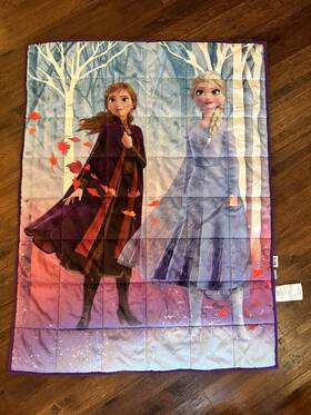 Disney 073558786115 Elsa Anna Frozen 2 Weighted Blanket 4.5lb 35 X 46 Walking To Winter