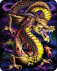 Dragon5309 Unbranded New Blanket Aurora 799928163880