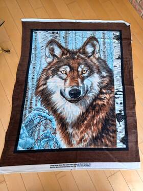 Dt Home 400134318123 No Sew Fleece Throw Kit - License By Wild Wings Jon Ren Artwork Started