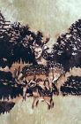 El Toro Deer In Forest 511 Brown Queen Blanket Medium Grade 000001018639