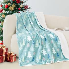 06ec-sherpa-throw-mint Elegant Comfort Reversible Sherpa Throw Blanket 50x60 Plush Fleece Lightweight Christmas Holiday