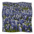 39743838 Euah5417 East Urban Home Susan Sanders Flower Fields Photography Fleece Throw