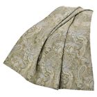 Fb3801th Hiend Accents Arlington Chenille Paisley Throw 890830114332