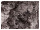 Fla8000-5070 Surya New Felina Throw 1000070346915