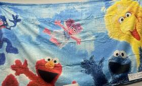 Franco 032281181659 Sesame Street Friends Plush Travel Throw Blanket 3 X 5 New