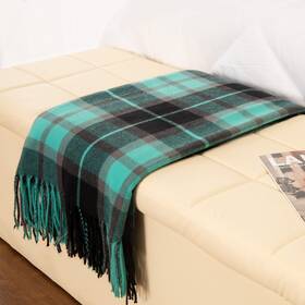 Gealaek 973113116561 Decorative Faux Cashmere Throw Blanket With Fringe Green And Black Plaid Ligh