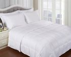 Grand Down All Season Alternative Full Queen Reversible Blanket White 855031053293