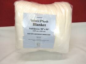 T4104331 Great Bay Home 492625667063 Velvet Plush Blanket Full/queen 90 Inch X90 Ivory