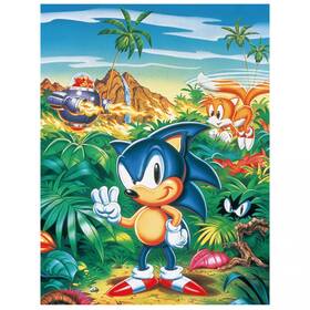 893774 Great Eastern Sonic The Hedgehog And Friends On Island Throw Blanket Multi-color