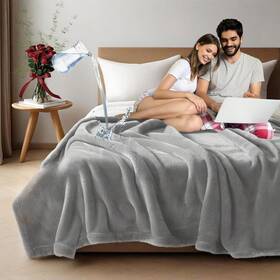 Haltune 445025383395 Waterproof And Stain Proof Blanket For Bed 80ftftx60ftft Queen Size Grey Dry Gua