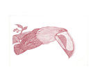 Han169iv3re5-50x60 E By Design El 190247737149