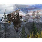 Handmade Panel 32.5x42inch Feel Like An Eagle Throw Blanket Fleece Backing