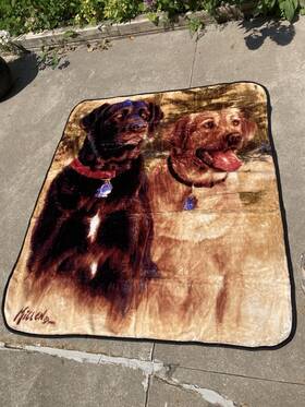 Heartland 190604285214 Everwild A Good Pair Labs Dogs Plush Throw Blanket 50x60 Inches Soft