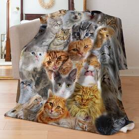 Hengyimy 313113325343 Twin Size Fleece Throw Blanket For Bed Couch Sofa Fuzzy Soft Cozy Blankets And