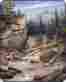 Horses5279 Canyon Unbranded Blanket Run Horses Wild New Queen Mink Plush Soft 79 X 96 Inches