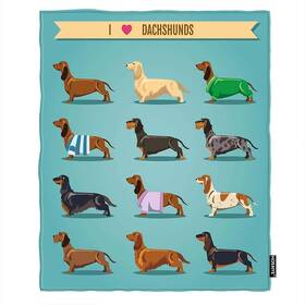 Lu-tblanketb2789 Hosnye Dachshund Fleece Throw Blanket For Decorative Background With I Love D