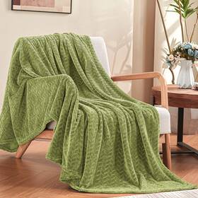 Inhand 698596054059 Sage Green Fleece Throw Blanket For Couch Super Soft Flannel Lightw