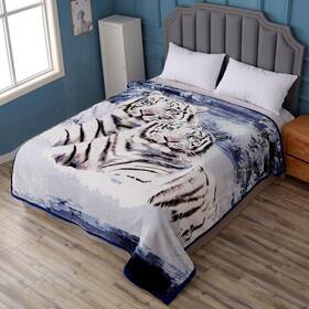 Jcp Hometex Inc 705353953637 Hiyoko Queen Size Blanket 5.3 Lbs Soft Korean Mink Style Fleece White Tige
