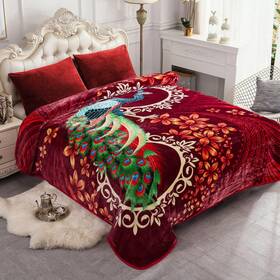 Jyk 445022069070 Plush Fleece Blanket Queen Size 91 Inch X 75 3.7lbs 1 Ply Soft Korean Mink War
