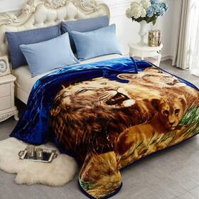 Jyk 764690781846 Korean Faux Mink Fleece Blanket 83 Inch X 91 5.7 Lb - 2 Ply Reversible Soft