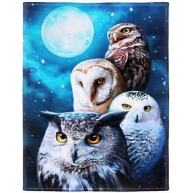 Klrigr 492116810088 Soft Cozy Fleece Throw Blanket For Couch Owls Moon 60x80 Inches