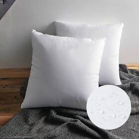 Lemonworld 600821967379 22 X Throw Pillow Inserts Outdoor Insert Waterproof For Couch - Set