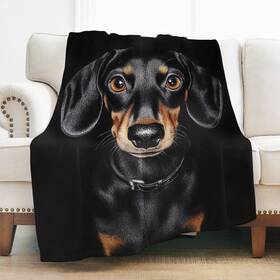 Levens 702103845075 Dachshund Gifts For Women 60 Inch X50 Black Blanket Weiner
