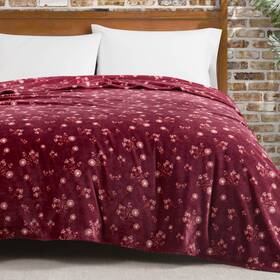 Lucky Brand 646760246588 Daisy Red Floral 66 Inch X90 Cozy Plush Blanket - Premium Microfiber Throw For Lu